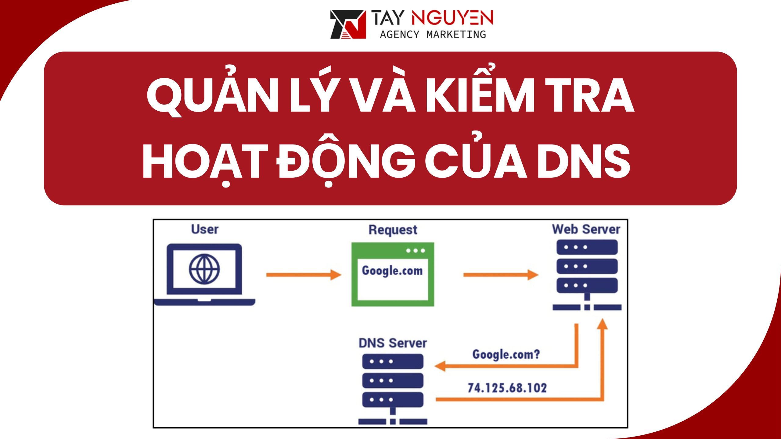 Quản lý và kiểm tra hoạt động thiết lập DNS trên hosting