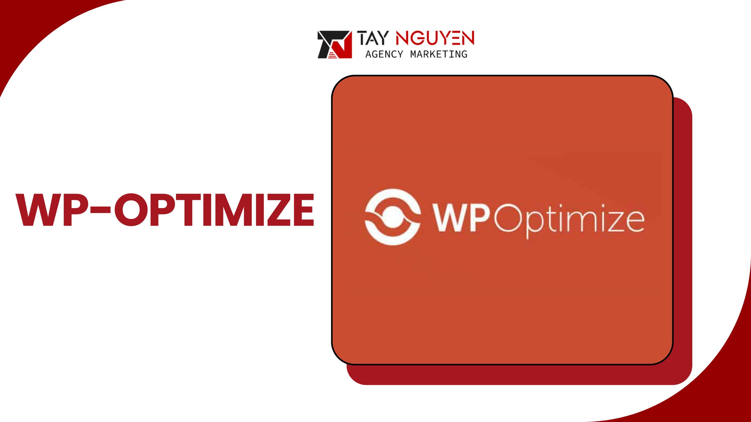 WP-Optimize