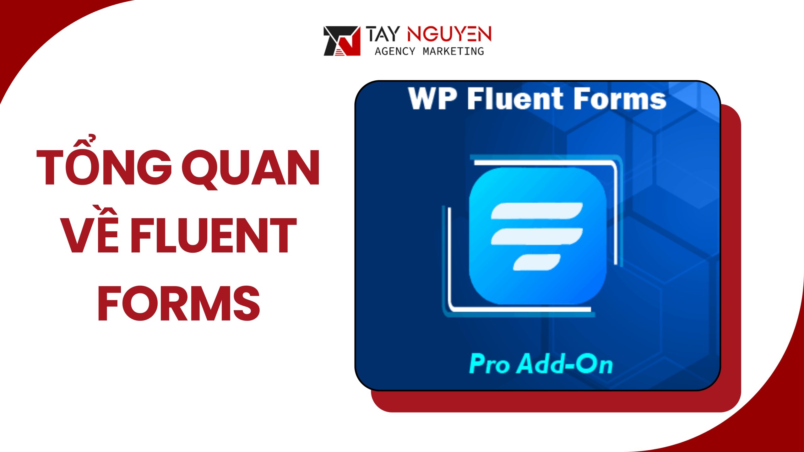 Tổng quan về Fluent Forms