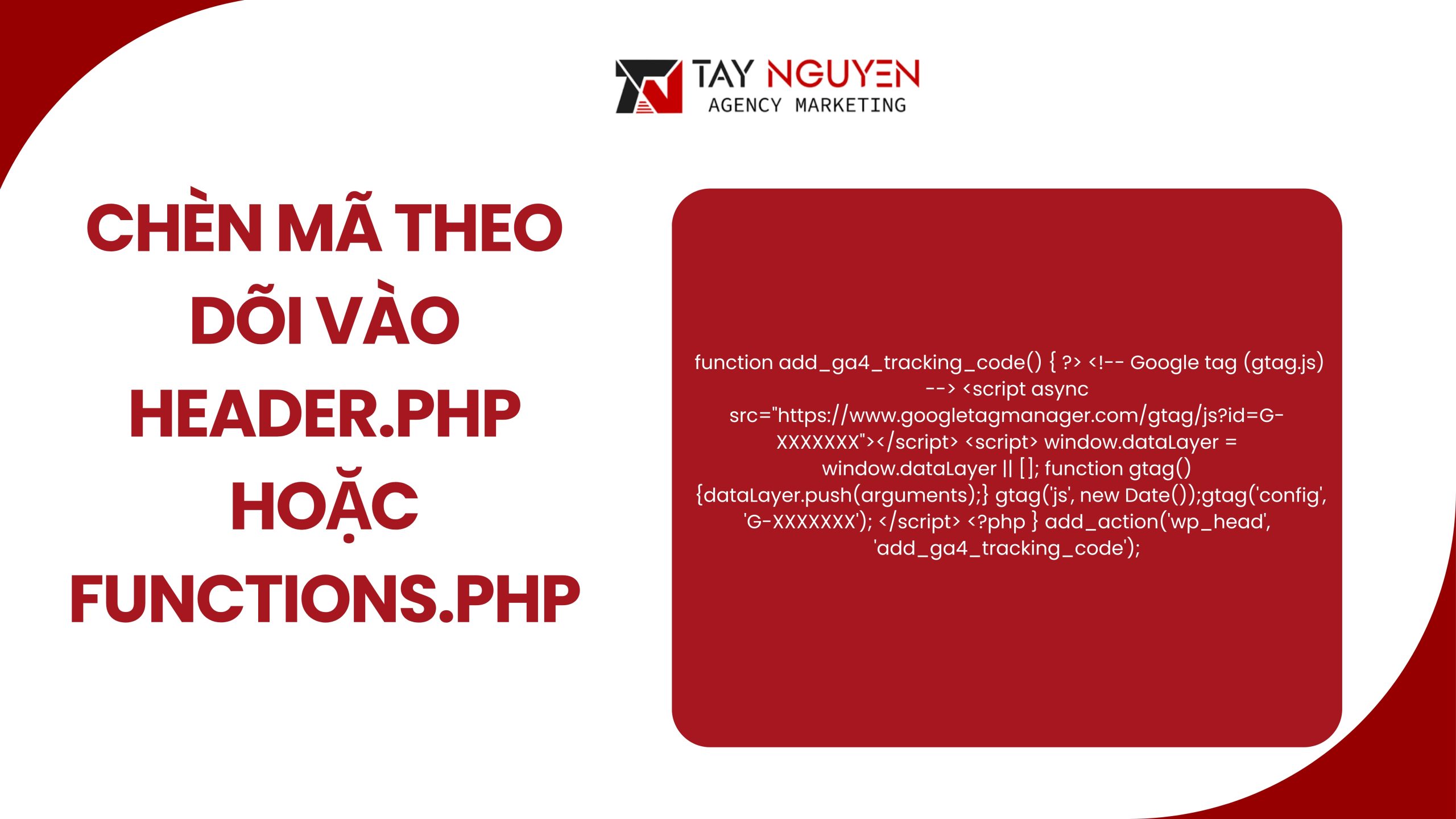 Thực hiện chèn mã theo dõi vào header.php hoặc functions.php