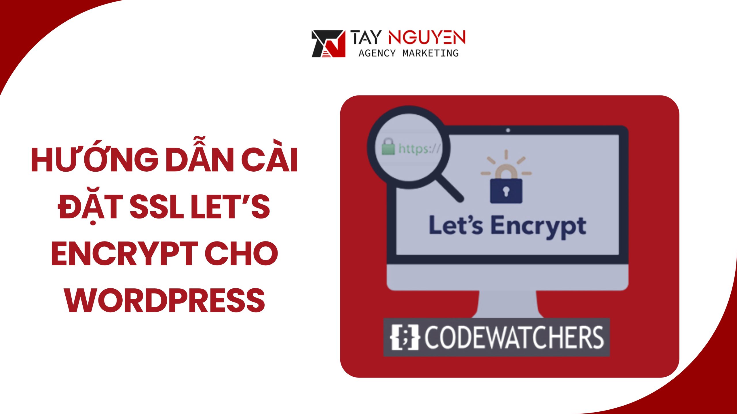 Hướng dẫn cài SSL Let’s Encrypt cho WordPress qua cPanel hoặc hosting hỗ trợ
