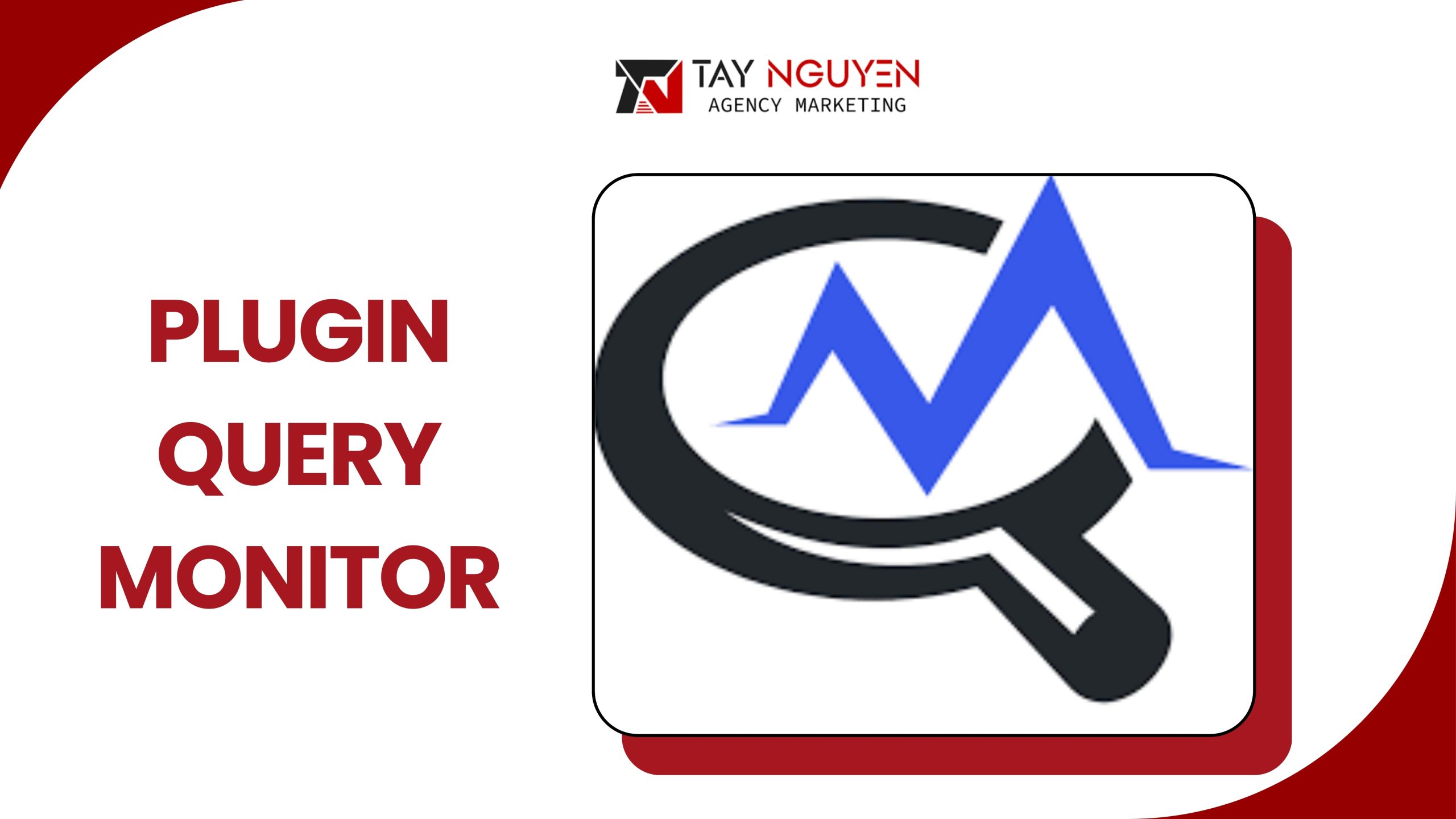 Plugin Query Monitor