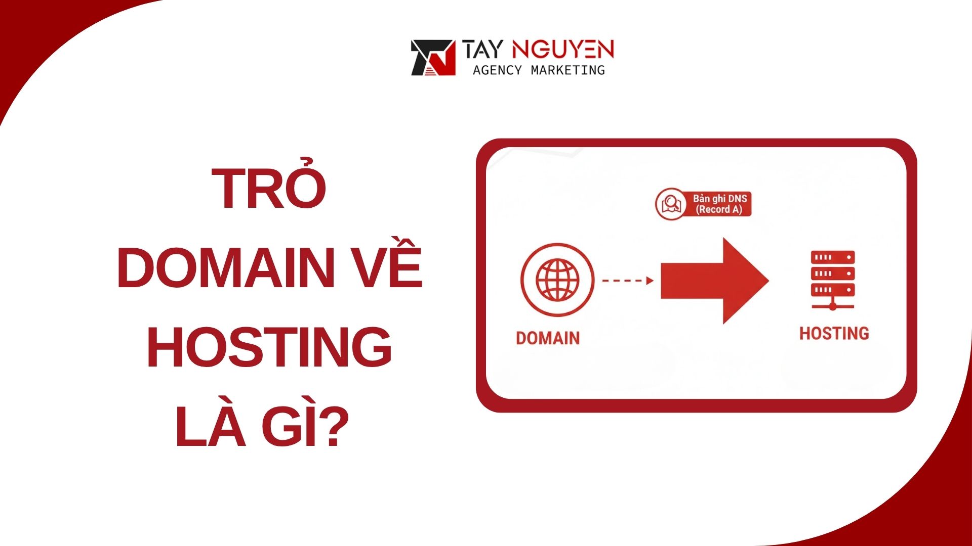 Trỏ Domain Về Hosting Là Gì? 
