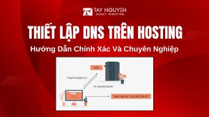 Hướng Dẫn Thiết Lập DNS Trên Hosting Chính Xác Và Chuyên Nghiệp