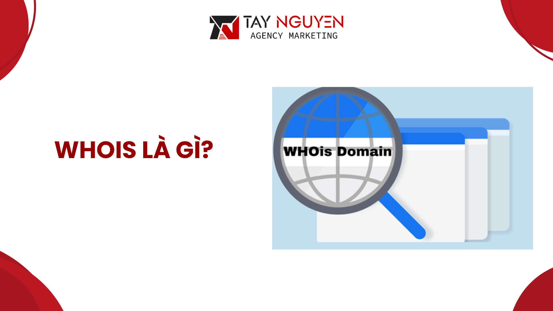 Whois là gì?