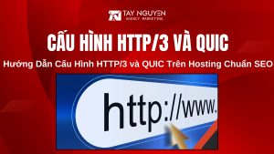 Hướng Dẫn Cấu Hình HTTP/3 và QUIC Trên Hosting Chuẩn SEO