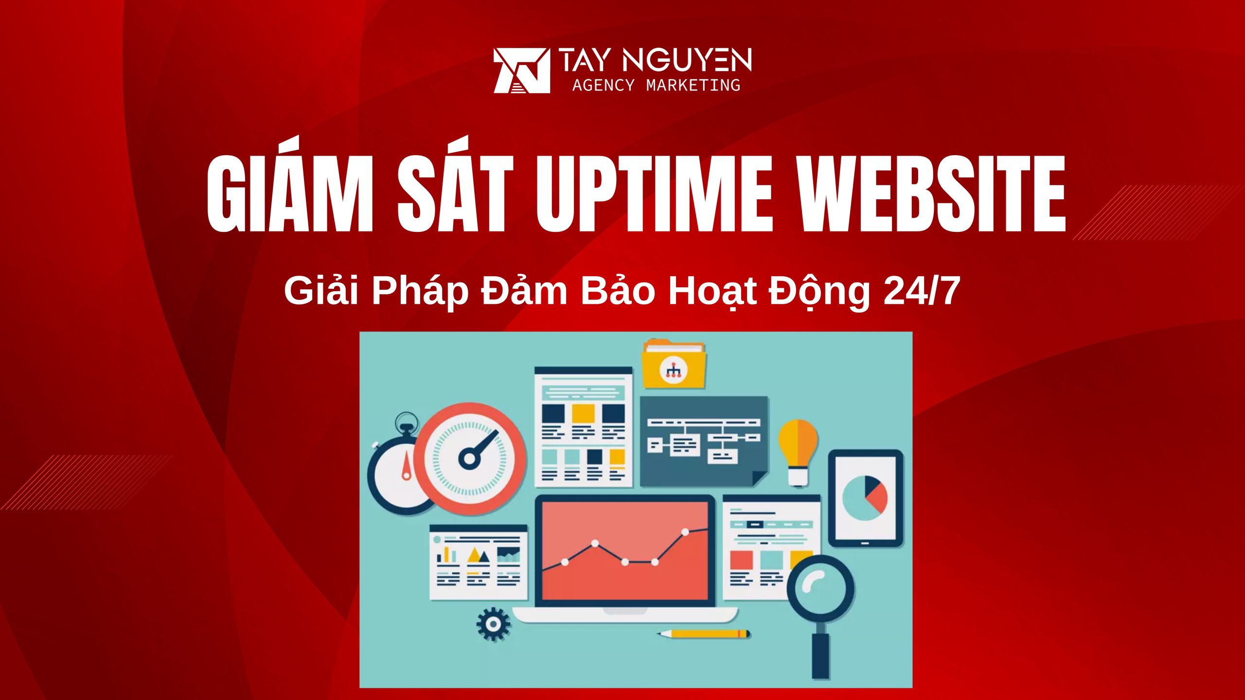 Giám Sát Uptime Website: Giải Pháp Đảm Bảo Hoạt Động 24/7