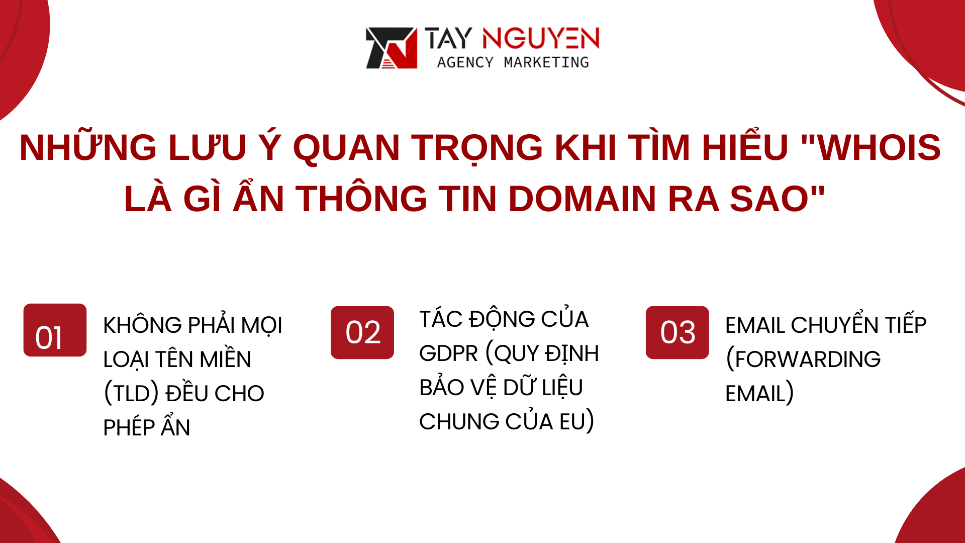 Những lưu ý quan trọng khi tìm hiểu "whois là gì ẩn thông tin domain ra sao"