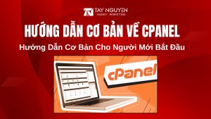 Hướng Dẫn Cơ Bản Về cPanel Cho Người Mới Bắt Đầu