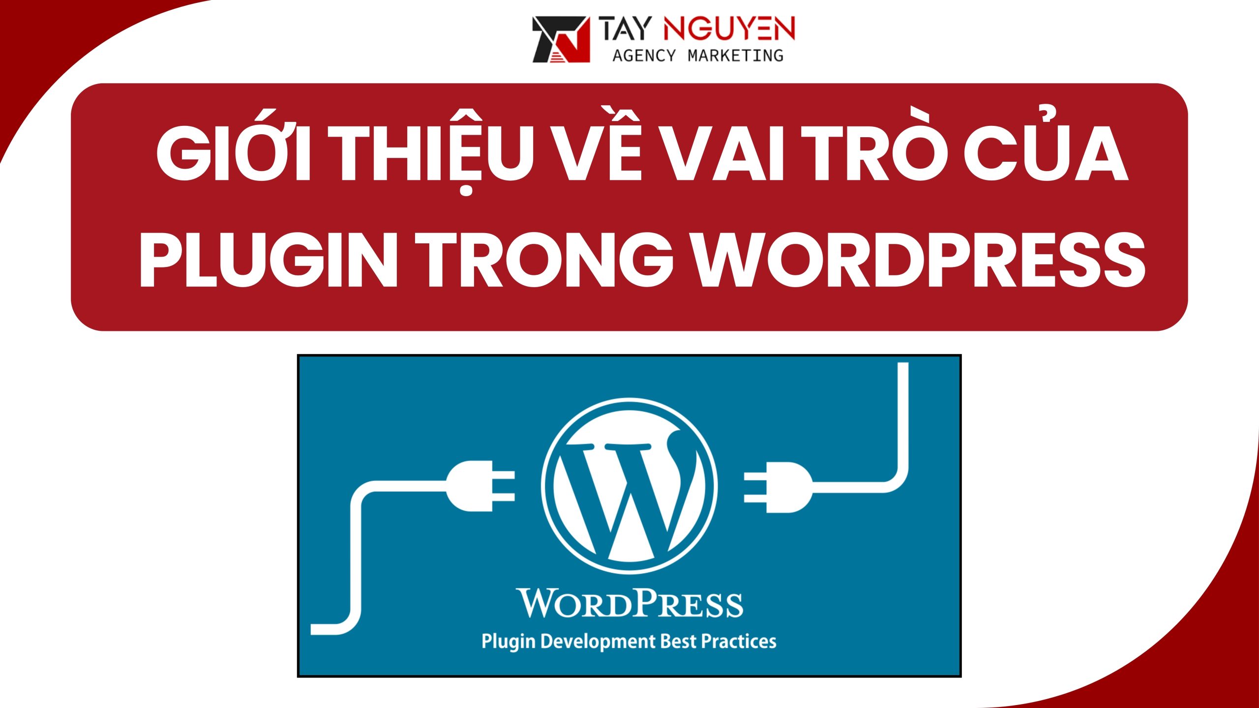 Giới Thiệu Về Vai Trò Của Plugin Trong WordPress