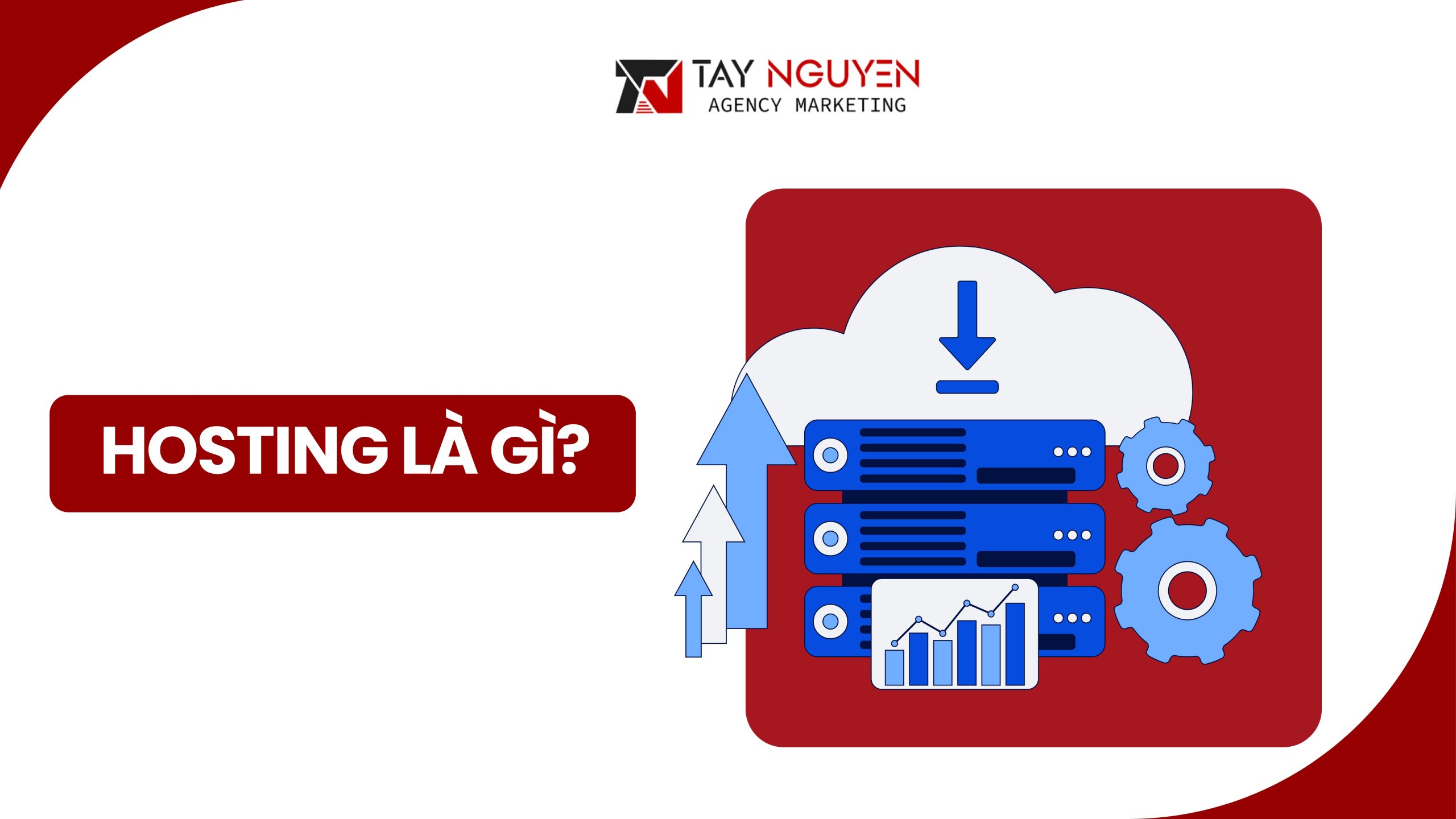 Tại sao hosting lại quyết định tốc độ website?