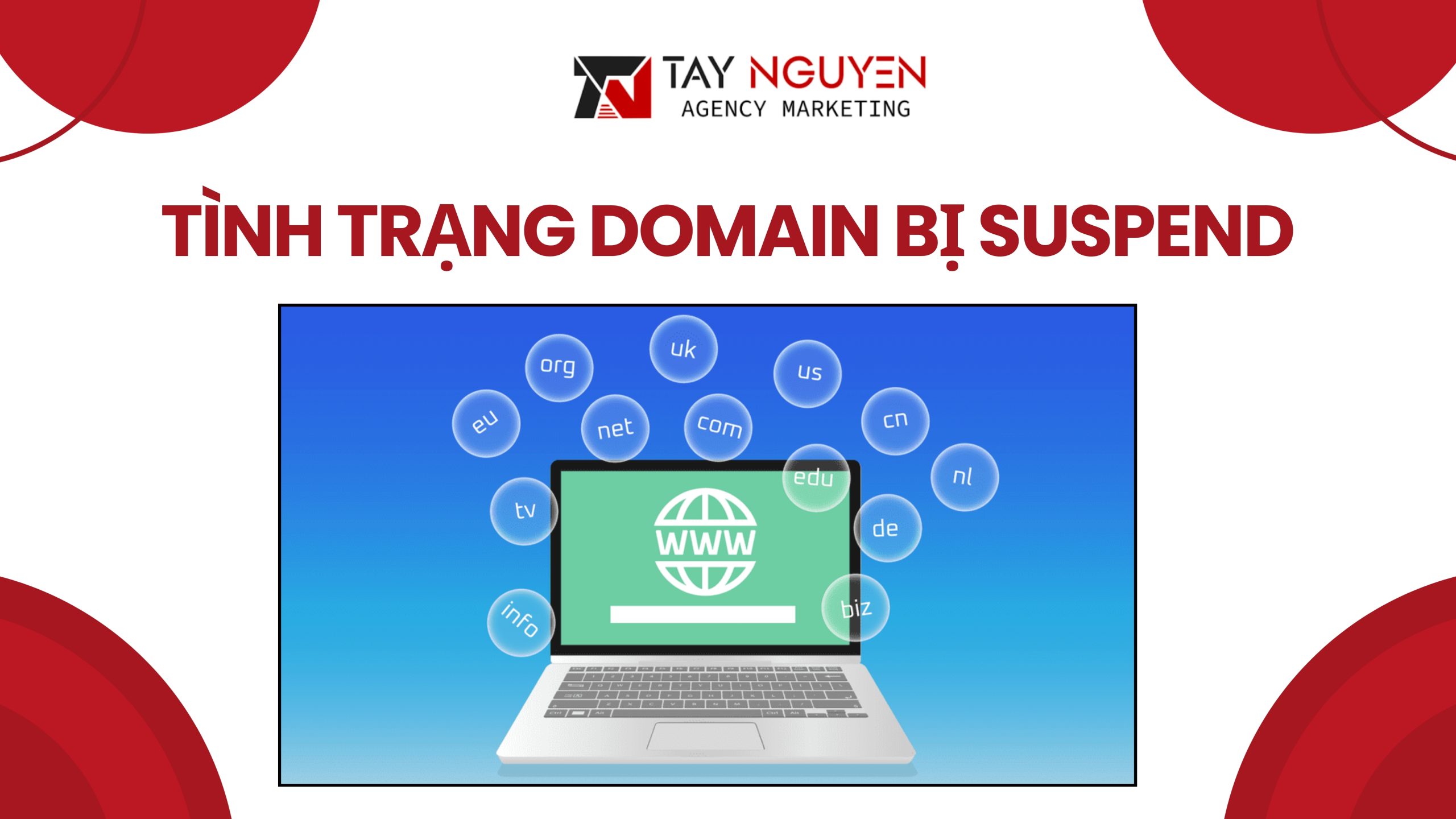 Hiểu Rõ Về Tình Trạng Domain Bị Suspend