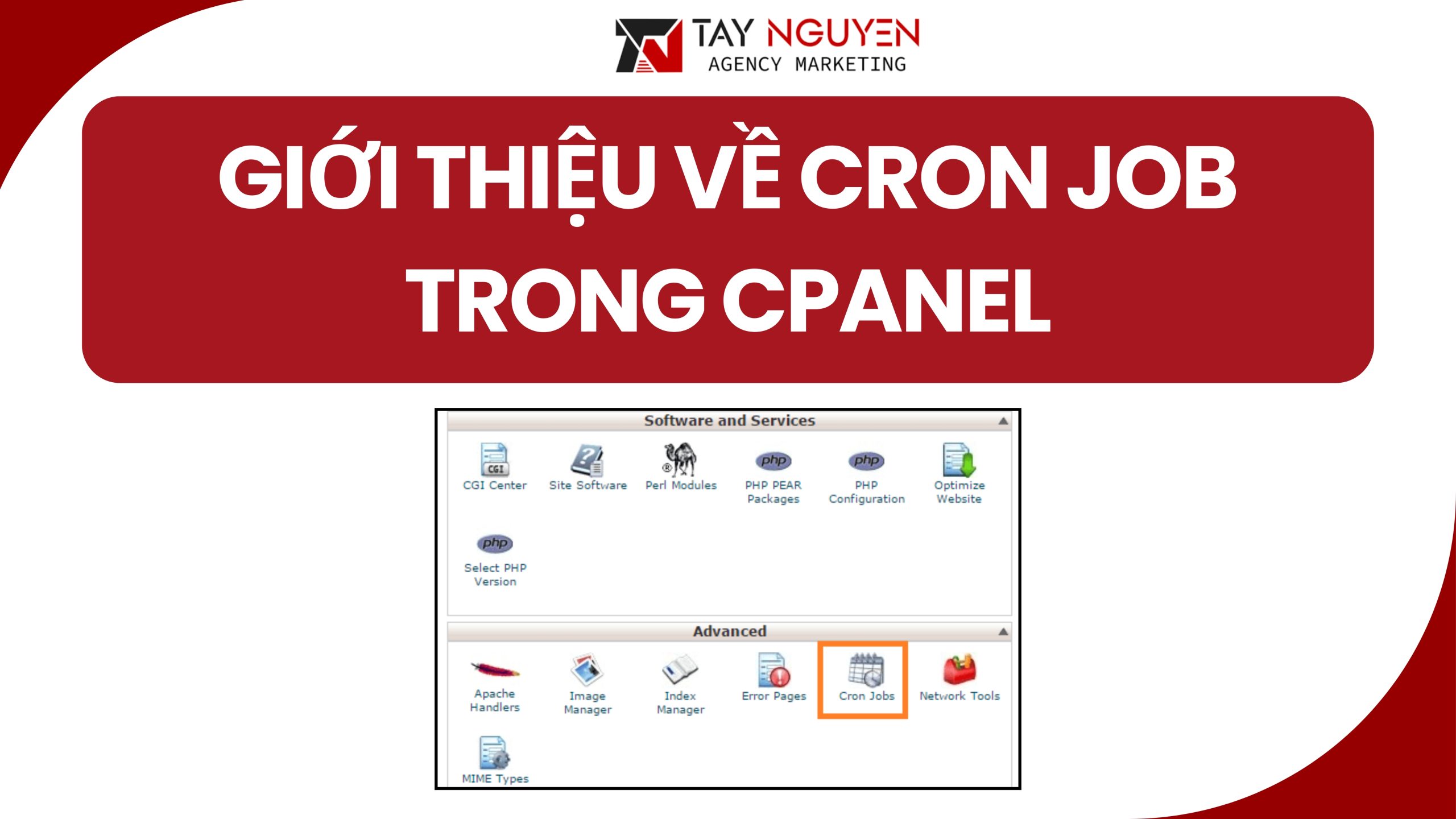 Giới thiệu về Cron Job trong cPanel