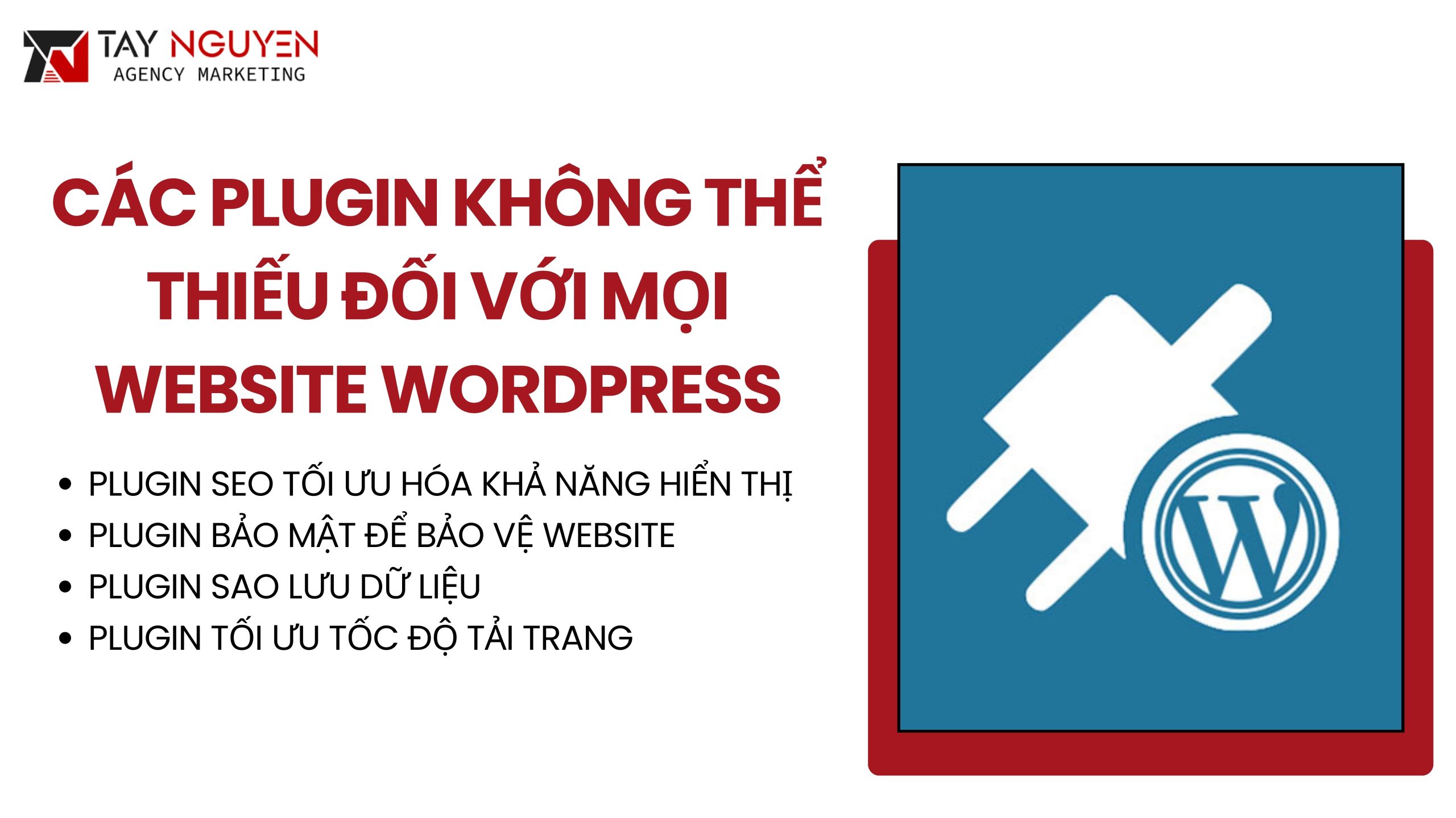Các Plugin Không Thể Thiếu Đối Với Mọi Website WordPress
