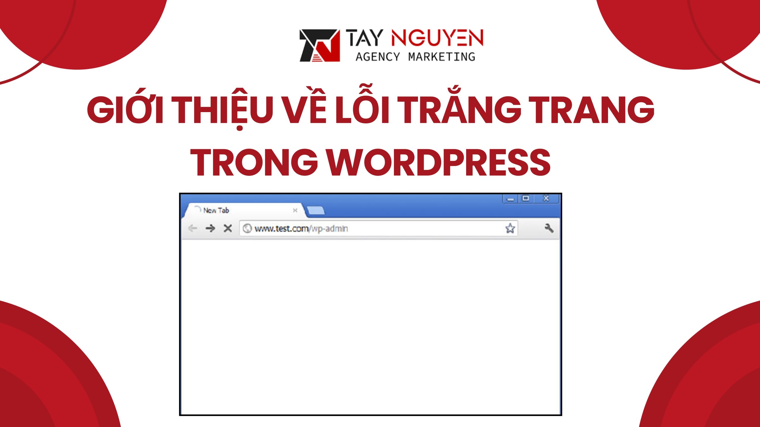 Giới Thiệu Về Lỗi Trắng Trang Trong WordPress