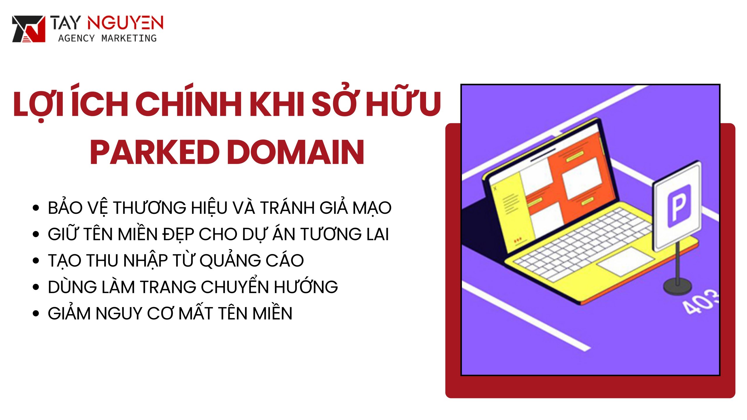 Lợi ích chính khi sở hữu parked domain