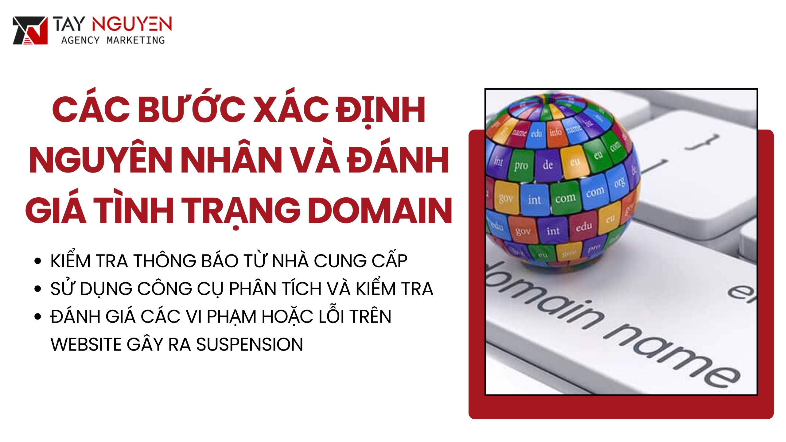Các Bước Xác Định Nguyên Nhân Và Đánh Giá Tình Trạng Domain