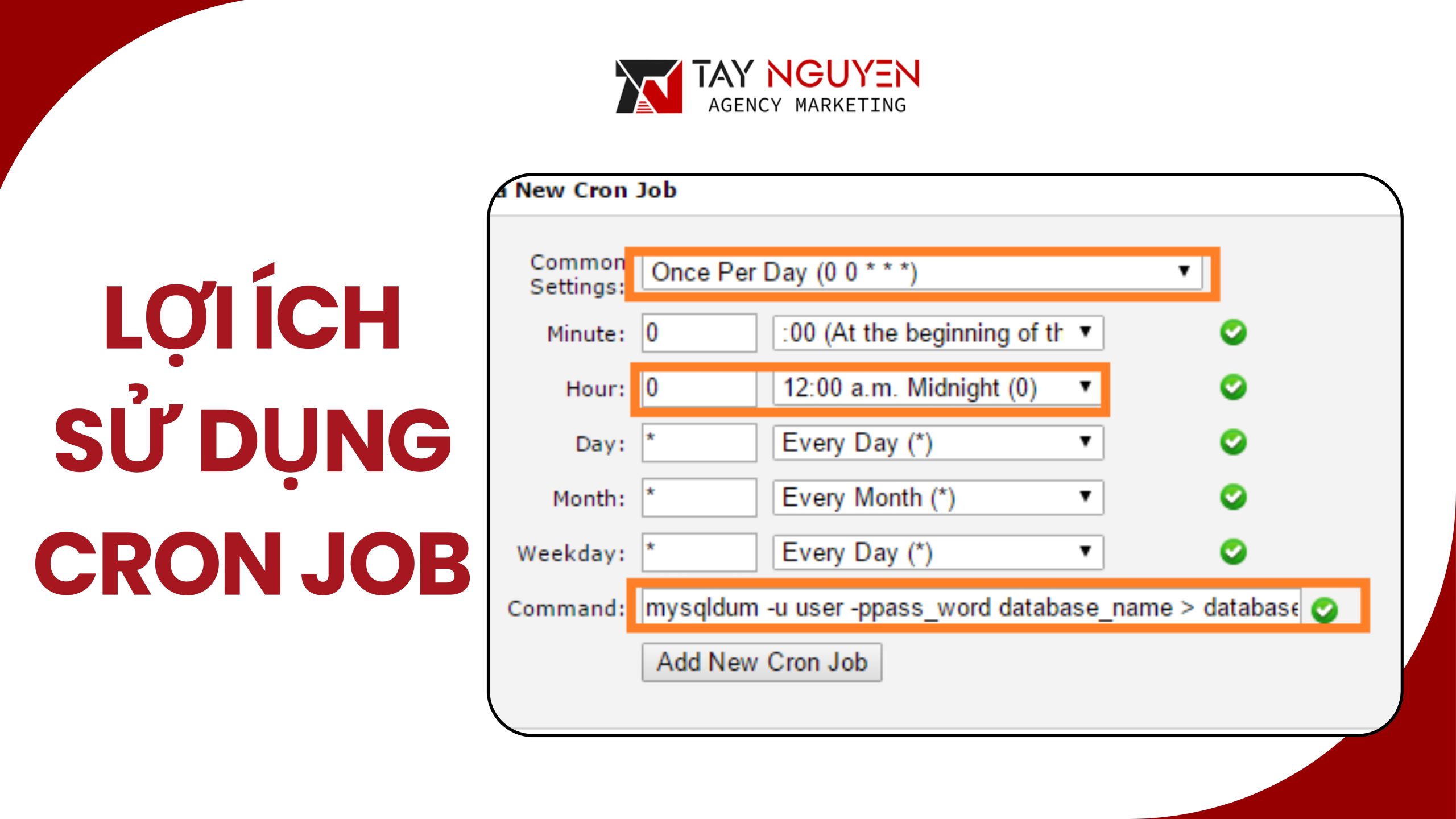 Lợi ích sử dụng Cron Job trong quản trị web hosting