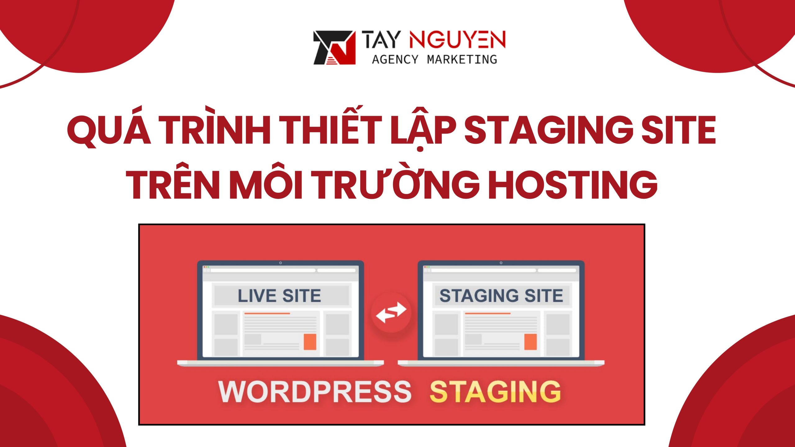 Quá trình thiết lập staging site trên môi trường hosting