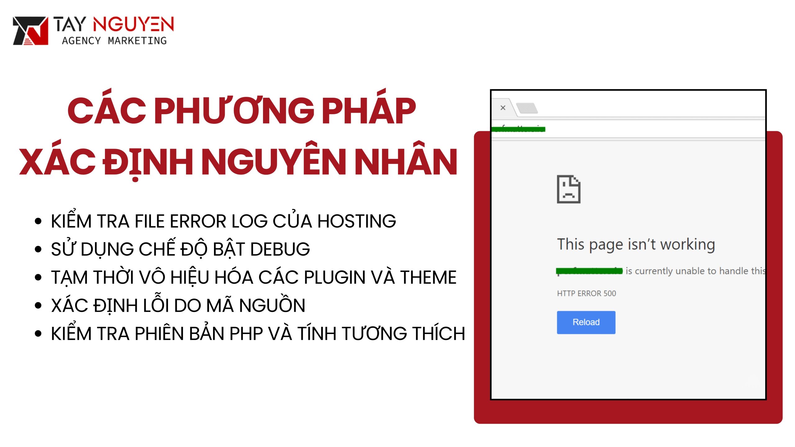 Các Phương Pháp Xác Định Nguyên Nhân Lỗi Trắng Trang