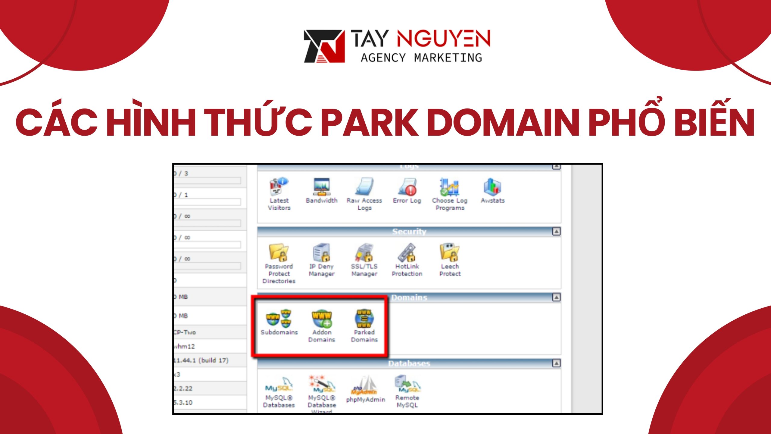 Các hình thức park domain phổ biến