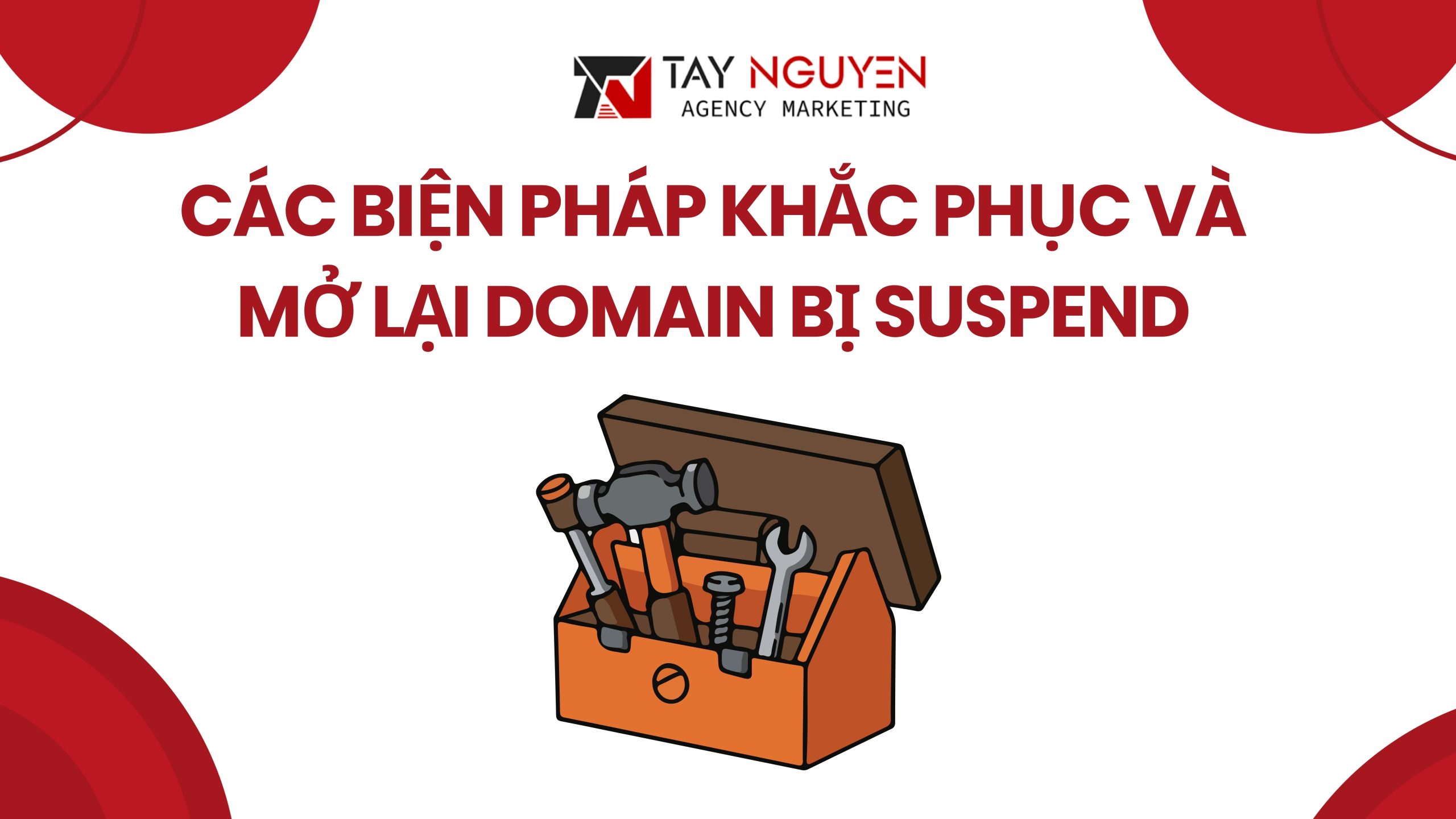 Các Biện Pháp Khắc Phục Và Mở Lại Domain Bị Suspend