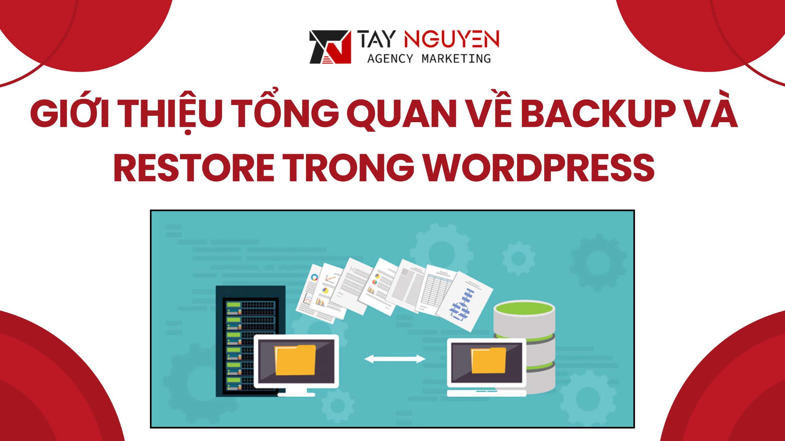 Giới thiệu tổng quan về Backup và Restore trong WordPress