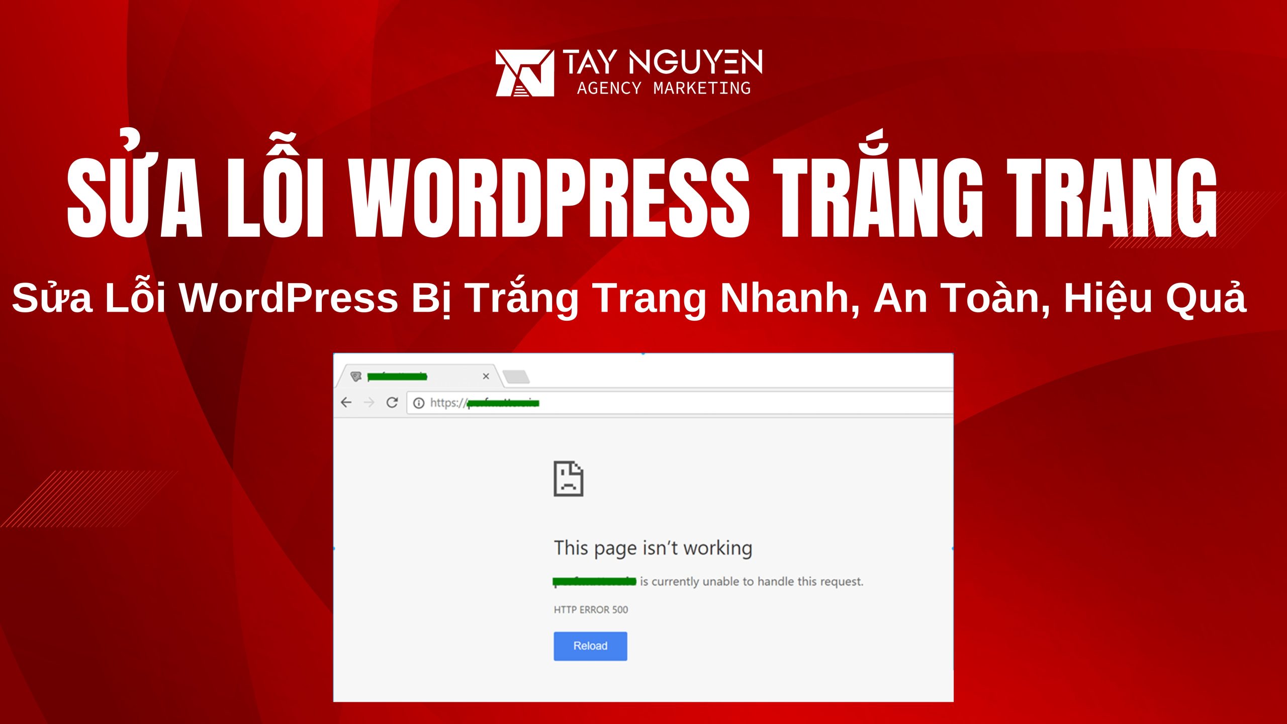 Sửa Lỗi WordPress Bị Trắng Trang Nhanh, An Toàn, Hiệu Quả
