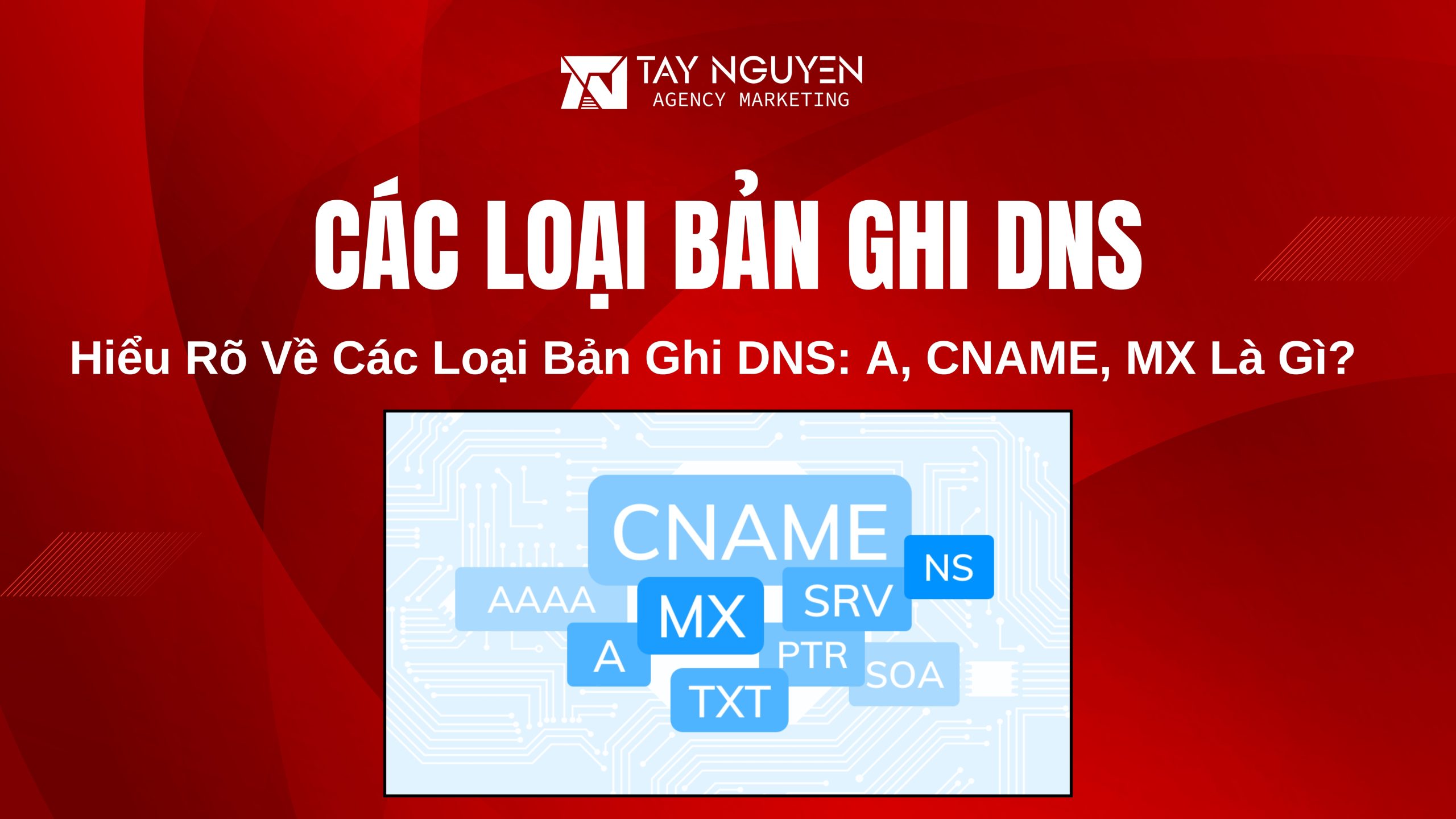 Hiểu Rõ Về Các Loại Bản Ghi DNS: A, CNAME, MX Là Gì?