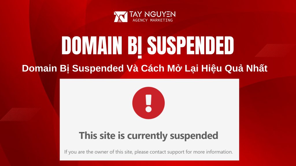 Domain Bị Suspended Và Cách Mở Lại Hiệu Quả Nhất