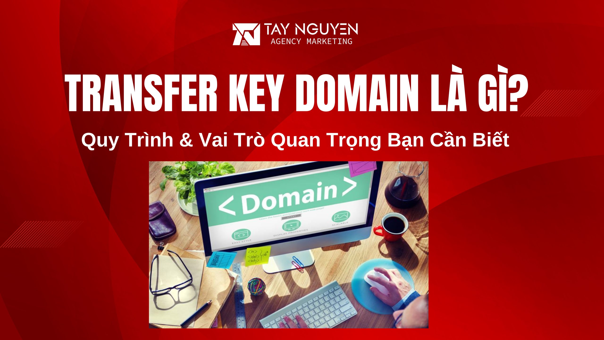 Transfer Key Domain Là Gì? Quy Trình & Vai Trò Quan Trọng Bạn Cần Biết