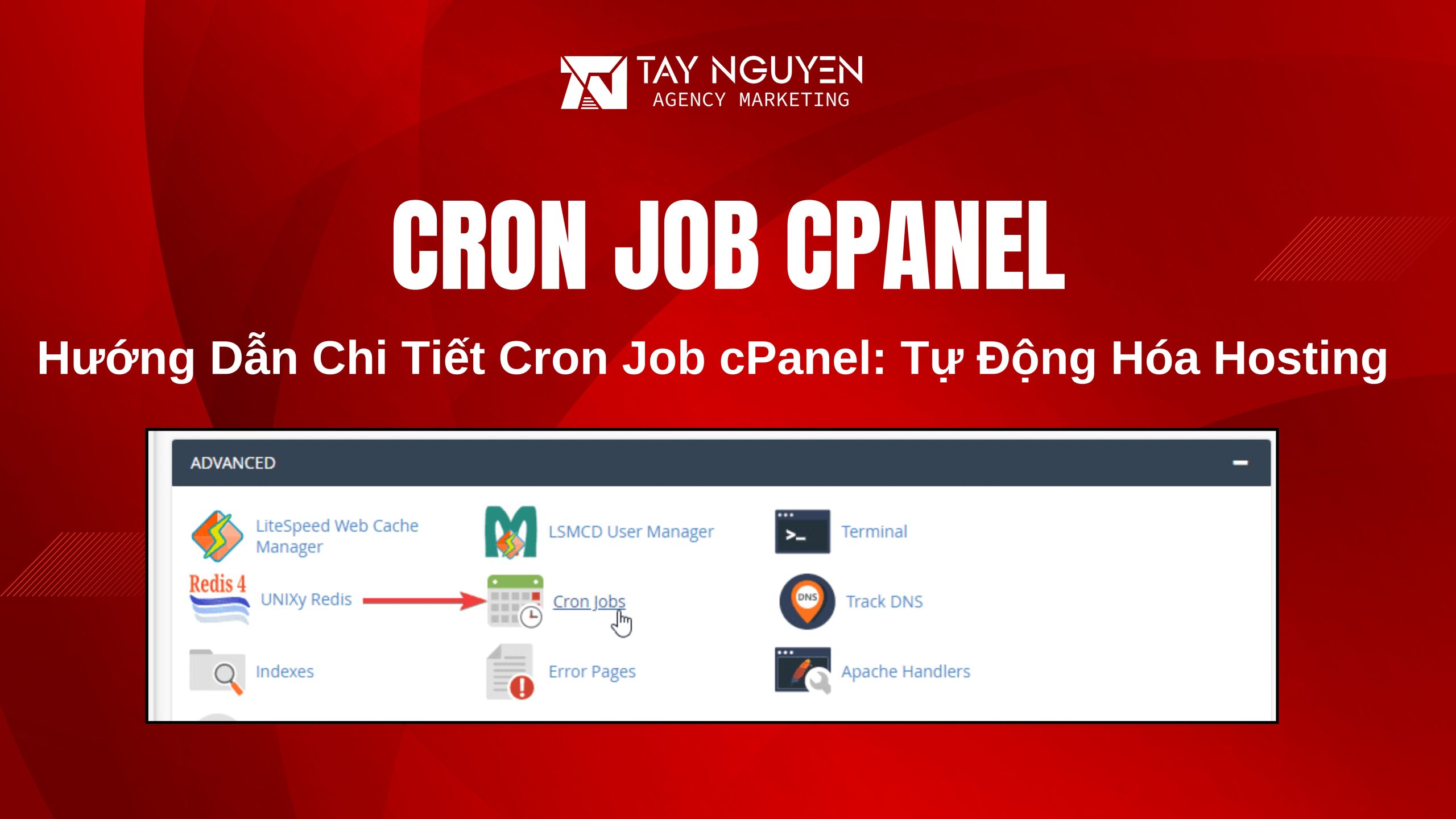Hướng Dẫn Chi Tiết Cron Job cPanel: Tự Động Hóa Hosting