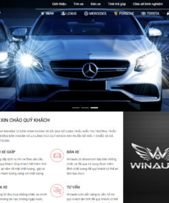 Mẫu Website Bán Xe Ôto - WinAuto