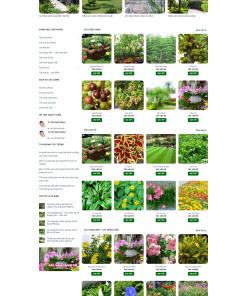Mẫu giao diện website cây xanh - theme cây cảnh, vườn cây & dịch vụ cảnh quan