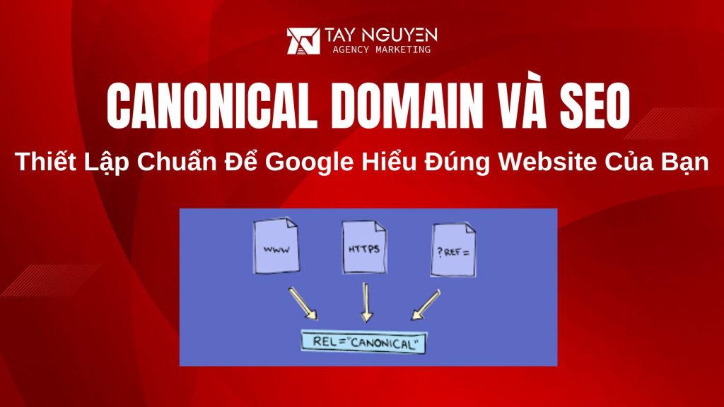 Canonical Domain và SEO: Thiết Lập Chuẩn Để Google Hiểu Đúng Website Của Bạn