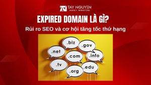 Expired Domain là gì? Rủi ro SEO và cơ hội tăng tốc thứ hạng