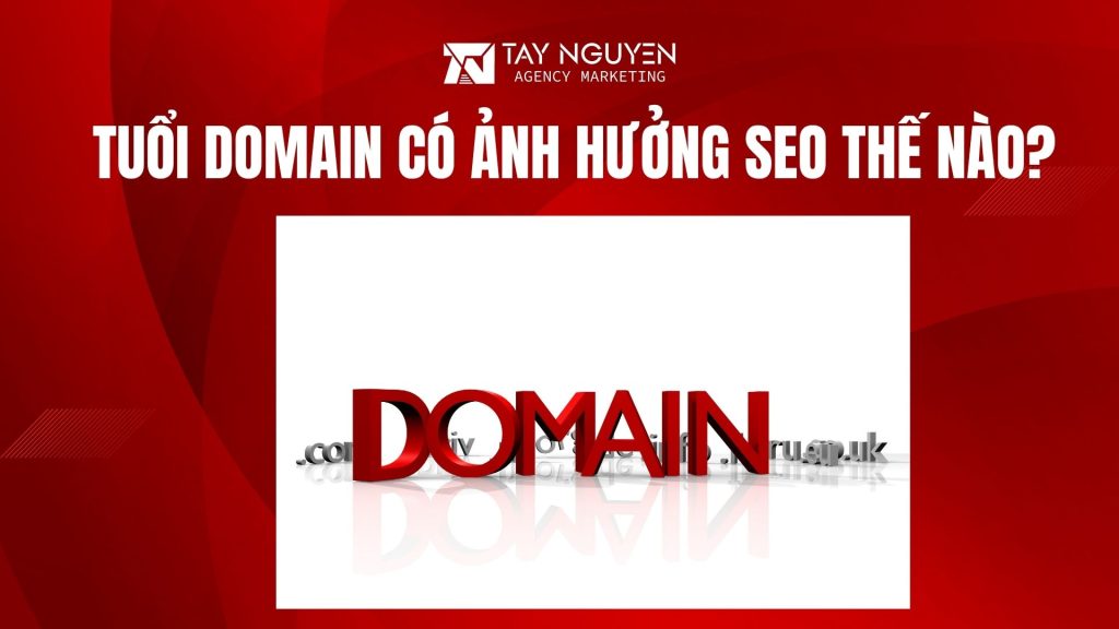 Tuổi Domain Có Ảnh Hưởng SEO Thế Nào?