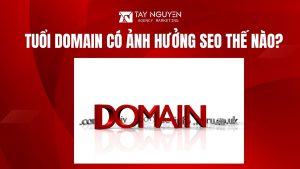 Tuổi Domain Có Ảnh Hưởng SEO Thế Nào?