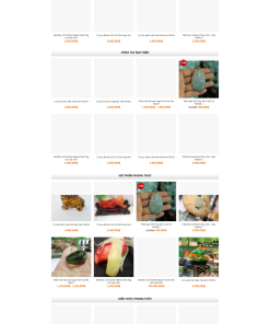 Mẫu giao diện website Đá quý 2 - theme kinh doanh đá quý, trang sức đá