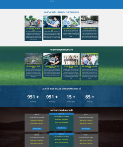 Mẫu giao diện website Đào Tạo Lái Xe- theme Trung Tâm Sát Hạch