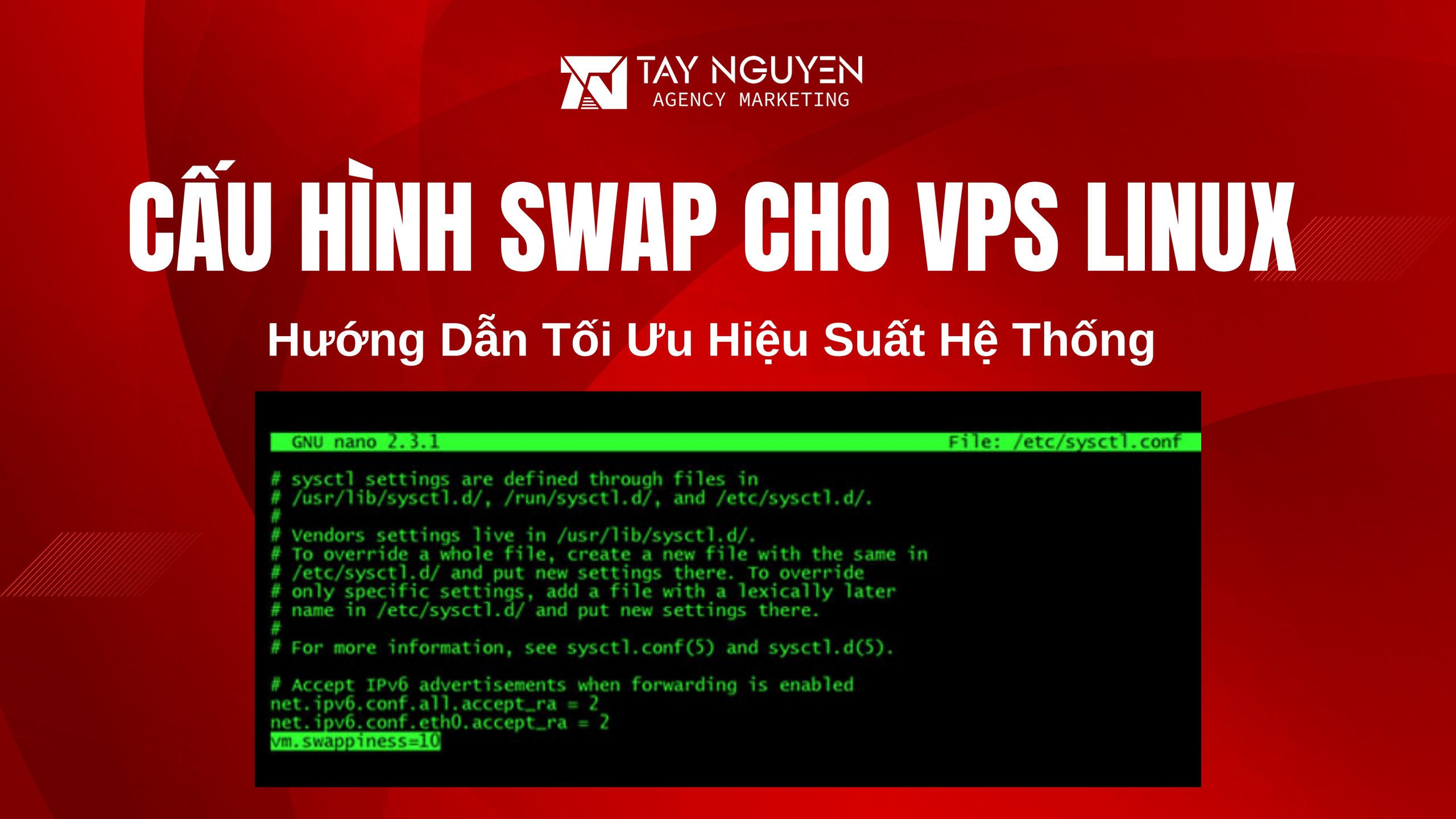 Hướng Dẫn Cấu Hình Swap Cho VPS Linux Tối Ưu Hiệu Suất Hệ Thống