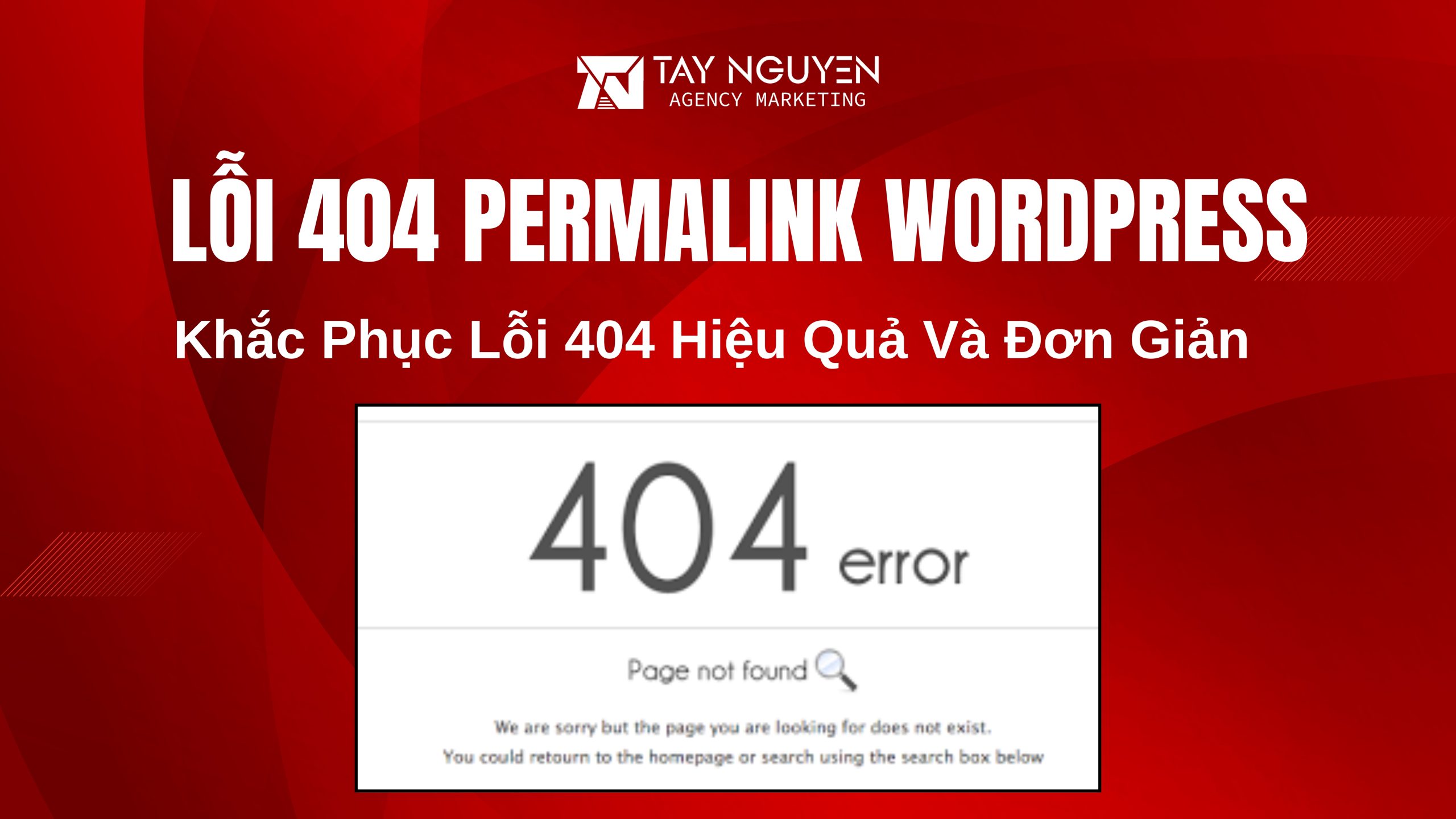 Khắc Phục Lỗi 404 Permalink Trong WordPress Hiệu Quả Và Đơn Giản