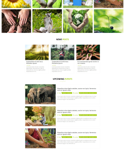 Mẫu giao diện Website Eco - Môi trường, năng lượng xanh